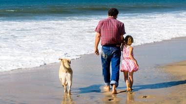 blog-image
